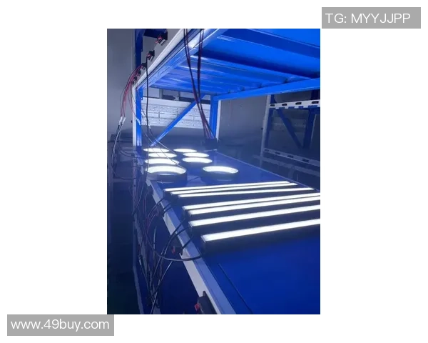 英雄联盟电竞赛事全景解析：赛季发展、战队竞技与全球观众的热情互动